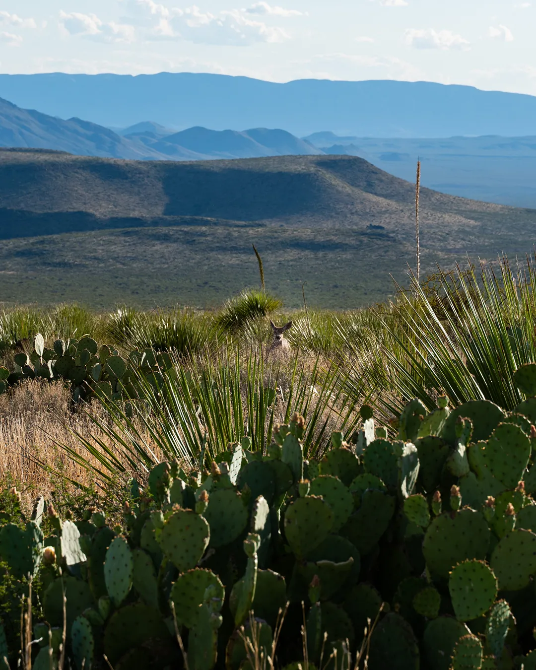 Una fotogPaisaje en la Reserva Natural El Carmen