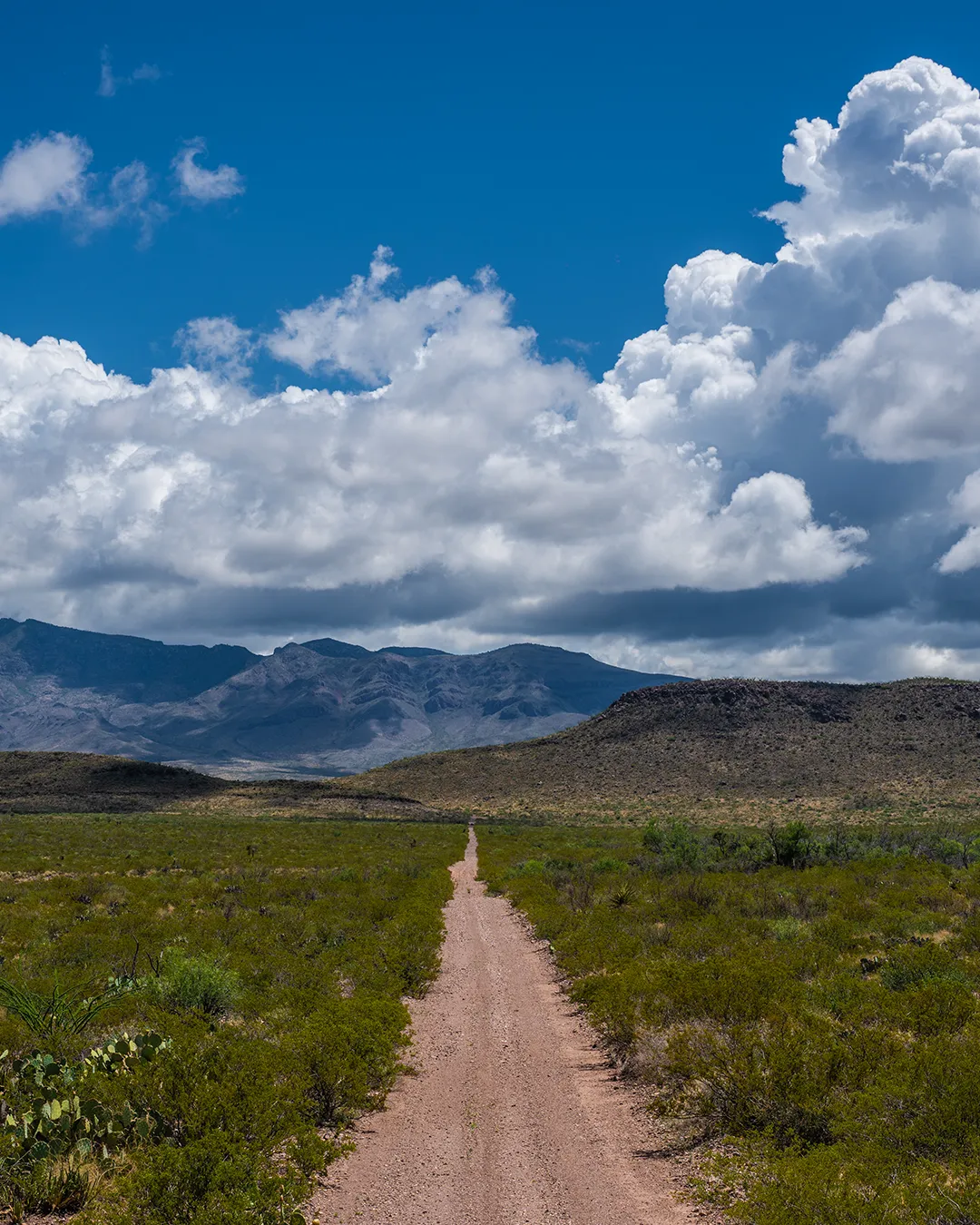 proyecto de conservación, biodiversidad, el carmen, reserva natural