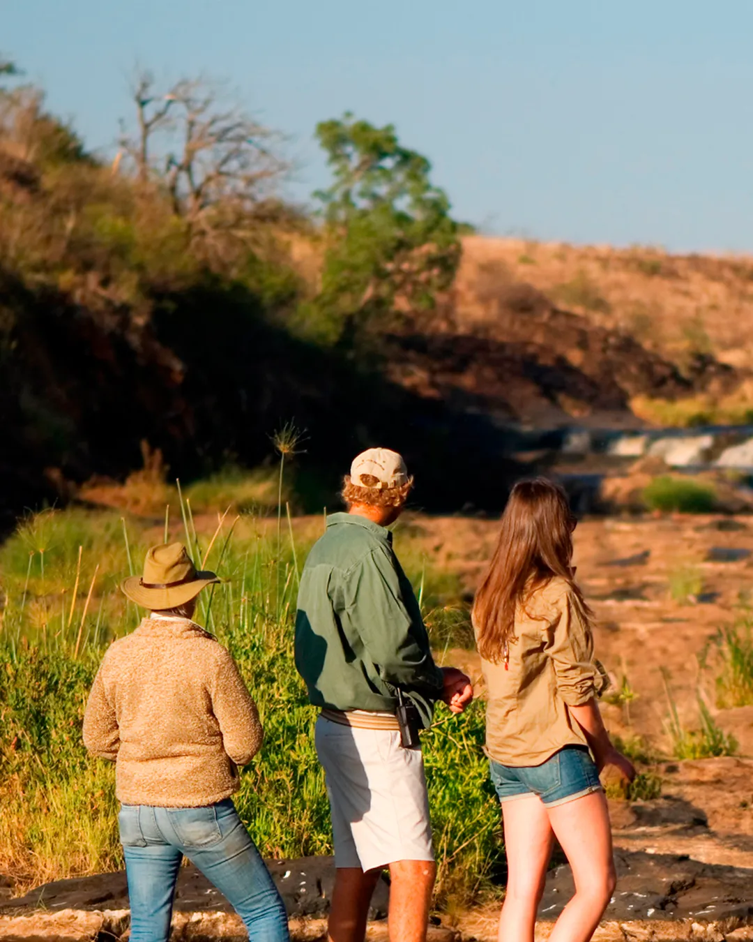 Trabajo global, departamento de parques y vida silvestre