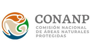 Logo de la Comisión Nacional de Áreas Naturales Protegidas - CONANP.